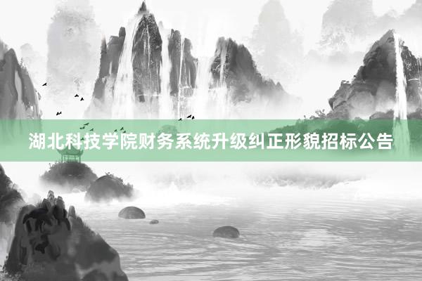 湖北科技学院财务系统升级纠正形貌招标公告