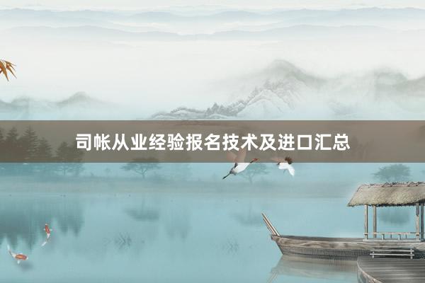 司帐从业经验报名技术及进口汇总