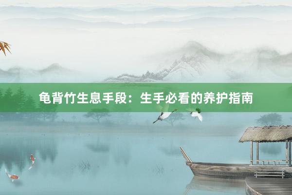 龟背竹生息手段：生手必看的养护指南